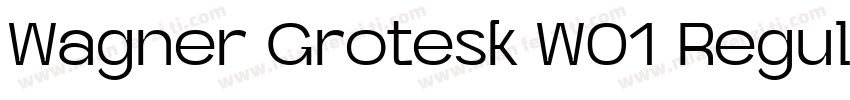 Wagner Grotesk W01 Regular字体转换